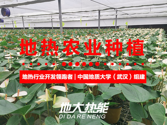 濟(jì)南：“地?zé)崮?農(nóng)業(yè)”產(chǎn)業(yè)融合，讓地?zé)崮苷嬲盁帷逼饋?lái)-地大熱能